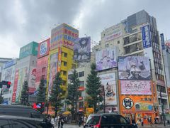 -秋叶原电器街