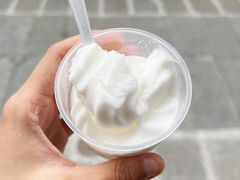 -洪馨椰子