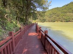 -广州白江湖森林公园