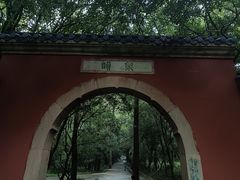 -灵谷景区