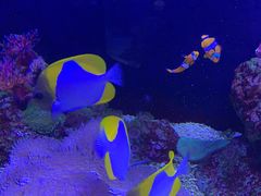 -成都浩海立方海洋公园