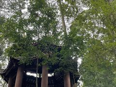 -都江堰普照寺