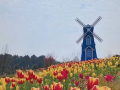 -铁山坪森林公园