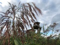 -野鸭湖国家湿地公园