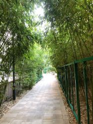 -北京英煌医疗美容