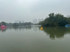 -青枫公园