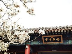 -颐和园