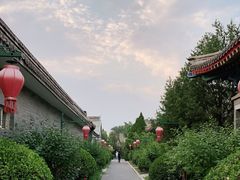 -有喜胶东小馆(太申祥和店)
