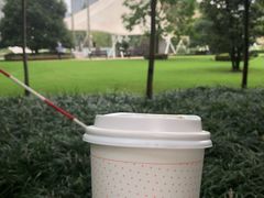 -Seesaw Coffee(上海国金中心店)