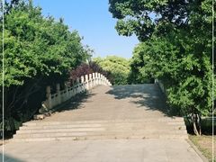 -沙市市中山公园