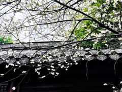 -钱王祠
