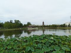 -西海子公园