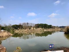 -白鹭湾湿地公园