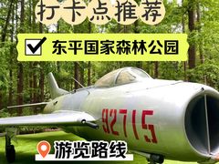 -东平国家森林公园