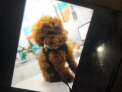 -东方金柜(郑州金水印象汇店)