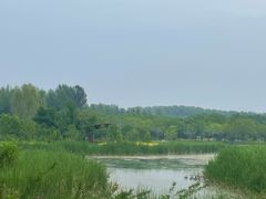 -东郊湿地公园