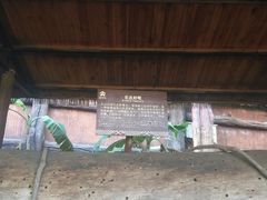 -海南槟榔谷黎苗文化旅游区