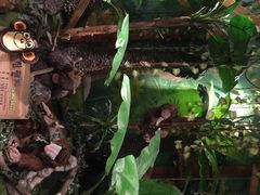 iphone_upload_pic-济州岛泰迪熊博物馆