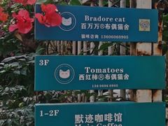 -默迹咖啡馆
