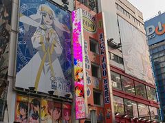 -秋叶原电器街