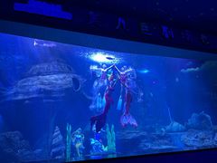 -多彩贵州城极地海洋世界