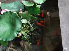 -灶东家民间菜(回兴店)