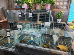-丁哥·庐味鲜 土菜·20年老字号(世纪阳光花园店)