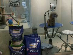 -PETKIT 小佩宠物·低压洗护·美容·寄养(安远店)