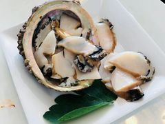 鲍鱼-蒸気海鮮