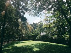 -晓港公园