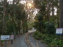 -可伦宾野生动物保护区