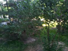 -南海家园六里-停车场