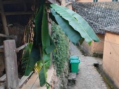 -杨家堂村