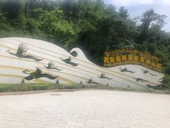 -西双版纳原始森林公园