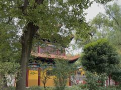 -宝通禅寺