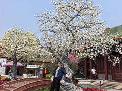 -珠海圆明新园