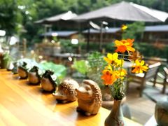 -宁波余姚老柿林山居度假村