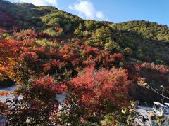 -龙道沟景区