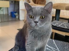 -平行世界·猫咖(首经贸店)