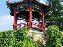 -大兴滨河森林公园