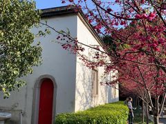 -乌山风景区
