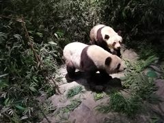 -武汉园博园(武汉自然博物馆)