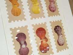 -摩登百货(岗顶店)