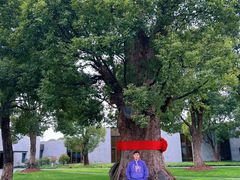 -养云安缦吧THE BAR