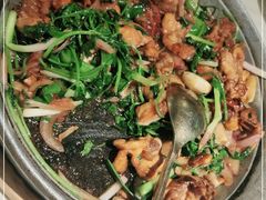 石锅啫鸡-九毛九西北菜(百信广场店)
