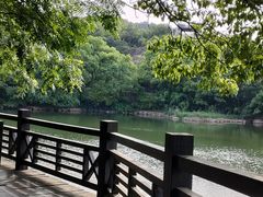-白马涧龙池景区