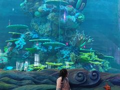 -青岛嘉年华主题乐园