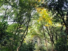 -杭州半山国家森林公园