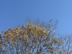 -尚贤河湿地