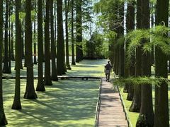 -渌洋湖湿地公园